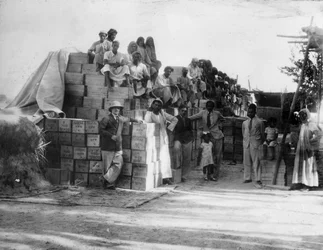 Kokosnøttproduksjon, India, 1900-tallet