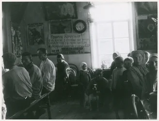 Kommunistisk kollektivisering av jordbruket, USSR, tidlig på 1930-tallet