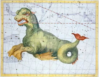 Constellation of Cetus the Whale, 1729