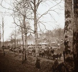 Konvoi, Somme, Nord-Frankrike, c1914-c1918