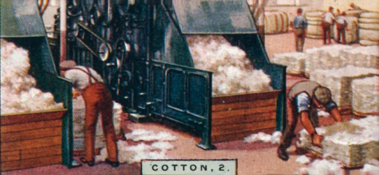 Cotton, 2. - Breaking up balles in Mixing Room, England, 1928