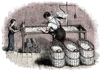 Bomullsproduksjon, c1845