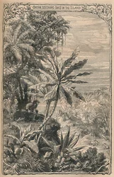 Crusoe oppdager geiter på øya, c1870