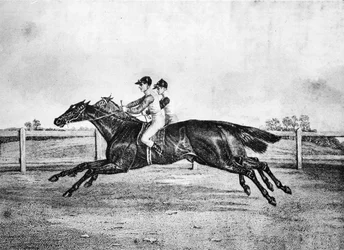 Død varme mellom Lanercost og Beeswing, 1835-1850, 1911