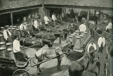 Leveringsbiler som kjører fra herrene Freeth og Pococks sentrale lager i Vauxhall, 1902