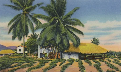 East Indian Huts, Trinidad, B.W.I., ca 1940-tallet.