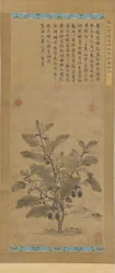Aubergine, Ming-dynastiet, 1368-1644.