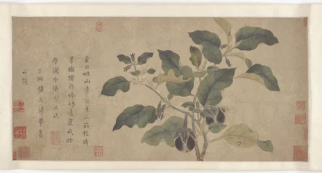 Aubergine, Yuan eller Ming-dynastiet, 1300-tallet.