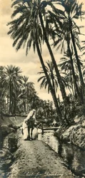 Egypt - Hvil for å drikke, c1918-c1939.