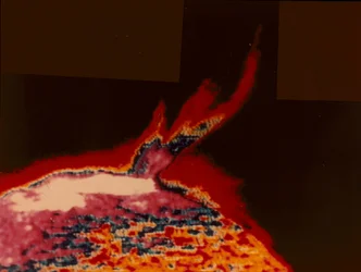 Falsk fargebilde av en solflamme fra Skylab, 1973