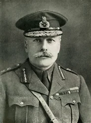 Feltmarskalk Earl Haig, 1910-tallet, 1919.