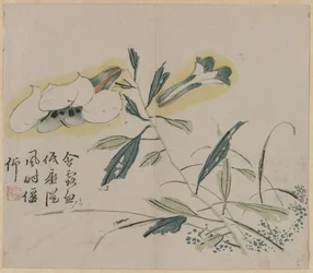 Blomstrende lilje, 1700-tallet.