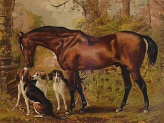 Frimurer - favorittjegeren til avdøde Hugo Meynell Ingram Esq., c1879.