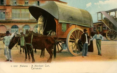 Havana - A Merchant Cart, Wagon, c1910.