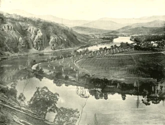 Hop Gardens i Tasmania, 1901.