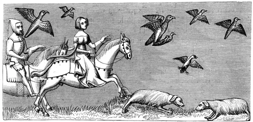 Hvordan få unge hauker til å fly, 1300-tallet 1849