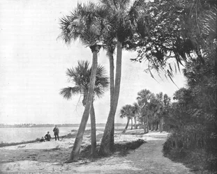 Indian River, Florida, USA, c1900.