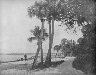 Indian River, Florida, c1897.