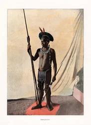 Jauapiry indisk med våpen, Brasil, 1800-tallet