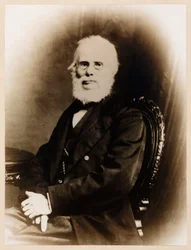 John Stringfellow, engelsk pionerflyger, ca 1880