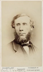 John Tyndall , irsk fysiker, ca 1875