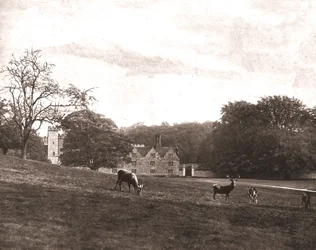 Knole Park, Sevenoaks, Kent, 1894.