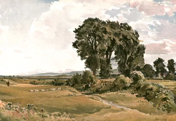 Landskap, nær Wareham, Dorset - an Outdoor Sketch, c1900.