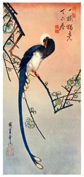 Langhalet blå fugl på en gren av et blomstrende plommetre, 1800-tallet 1925