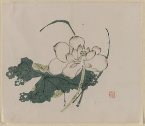 Lotusblomst, 1368-1644.