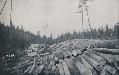 Tømmerarbeid, 1924