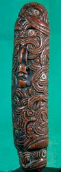Innfødt fløyte koauau, New Zealand