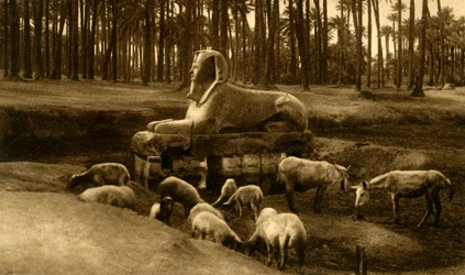 Memphis - Alabastersfinksen, c1918-c1939.