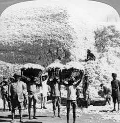 Menn som bærer kurver med bomull på en Indore bomullsfabrikk, India, 1900-tallet