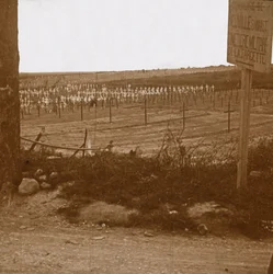 Militærkirkegård, Neuville-Saint-Vaast, Nord-Frankrike, c1914-c1918