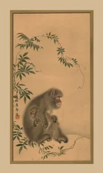 Monkey, 1800-tallet, 1886