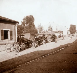 Muldyrvogner med forsyninger, Verdun, Nord-Frankrike, c1914-c1918