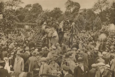 Et av tegnene på vår sivilisasjon: velfylte zoologiske hager for å glede de nysgjerrige, c193