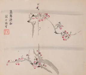 Side fra Shi Zhu Zhai.