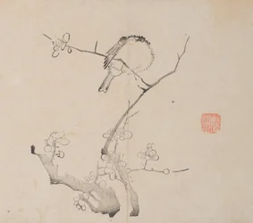 Side fra shi Z Hu Z også Shu Huapu.