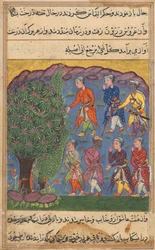 Side fra Tales of a Parrot Tuti-nama: Sjette natt: Syv menn som bestrider besittelse..., ca. 1560.