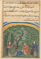 Side fra Tales of a Parrot Tuti-nama: andre natt: Sentinelen i ansatt, c1560.