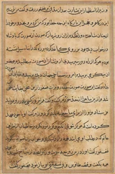 Side fra Tales of a Parrot Tuti-nama: tekstside, ca. 1560.