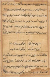 Side fra Tales of a Parrot Tuti-nama: tekstside, ca. 1560.