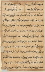Side fra Tales of a Parrot Tuti-nama: tekstside, ca. 1560.
