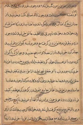 Side fra Tales of a Parrot Tuti-nama: tekstside, ca. 1560.