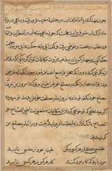 Side fra Tales of a Parrot Tuti-nama: tekstside, ca. 1560.