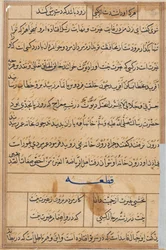 Side fra Tales of a Parrot Tuti-nama: tekstside, ca. 1560.