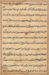 Side fra Tales of a Parrot Tuti-nama: tekstside, ca. 1560.