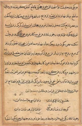 Side fra Tales of a Parrot Tuti-nama: tekstside, ca. 1560.