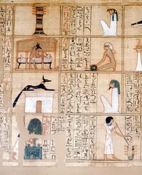 Papyrus, balsamering, Anubis, gammel egyptisk, c10. århundre f.Kr